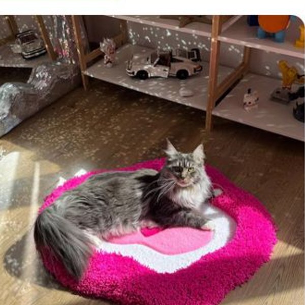 Handmade Custom Rug for Pets